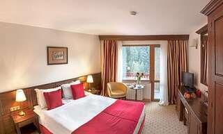 Отель Hotel Yastrebets Wellness & Spa Боровец Двухместный номер с 1 кроватью или 2 отдельными кроватями-5